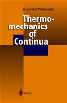 Krzysztof Wilmanski - Thermomechanics of Continua