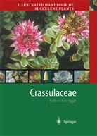 Ur Eggli, Urs Eggli, Heidrun E. K. Hartmann - Illustrated Handbook of Succulent Plants: Illustrated Handbook of Succulent Plants: Crassulaceae
