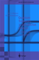Wi Magnus, Wim Magnus, Wim Schoenmaker - Quantum Transport in Submicron Devices