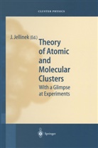 Juliu Jellinek, Julius Jellinek - Theory of Atomic and Molecular Clusters