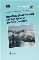Sandr Fuzzi, Sandro Fuzzi, Wagenbach, Wagenbach, Dietmar Wagenbach - Cloud Multi-phase Processes and High Alpine Air and Snow Chemistry