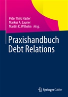 Marku A Launer, Markus A Launer, Hasle, Peter T. Hasler, Peter Thilo Hasler, Martin K Wilhelm... - Praxishandbuch Debt Relations