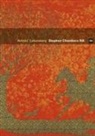 Stephen Chambers, Rod Mengham, Rod Wilding Mengham, Alison Wilding - Artists'' Laboratory 06: Stephen Chambers Ra