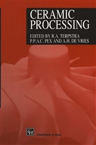 Andre De Vries, Pau Pex, Paul Pex, Petrus Pex, Petrus P. A. C. Pex, R. A. Terpstra... - Ceramic Processing