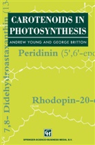 Britton, Britton, G. Britton, Young, A Young, A. Young - Carotenoids in Photosynthesis
