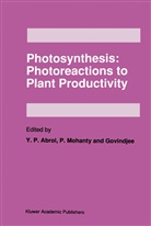 Y. P. Abrol, Y.P. Abrol, Govindjee, Govindjee, Mohanty, P Mohanty... - Photosynthesis: Photoreactions to Plant Productivity