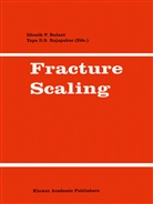 Zdenek P. Bazant, Zdene P Bazant, Zdenek P Bazant, Rajapakse, Rajapakse, Y. Rajapakse - Fracture Scaling