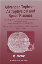 G A Medina Tanco et al, A. C. -L. Chian, A.C.-L. Chian, Abraham C.-L. Chian, E. M. de Gouveia Dal Pino, E.M. de Gouveia Dal Pino... - Advanced Topics on Astrophysical and Space Plasmas