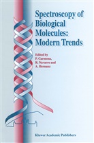 P. Carmona, A Hernanz, A. Hernanz, Navarro, R Navarro, R. Navarro - Spectroscopy of Biological Molecules: Modern Trends