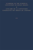 Council of Europe Staff, Council of Europe Staff, Council of Europe/Conseil de L'Europe - Yearbook of the European Convention on Human Rights / Annuaire de la Convention Europeenne des Droits de L'Homme