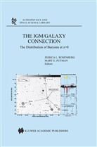 E Putman, E Putman, Jessic L Rosenberg, Jessica L Rosenberg, Mary E. Putman, Jessica L. Rosenberg - The IGM/Galaxy Connection