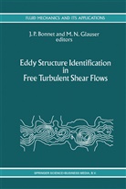 J. P. Bonnet, J.P. Bonnet, M. N. Glauser, M.N. Glauser, N Glauser, N Glauser... - Eddy Structure Identification in Free Turbulent Shear Flows