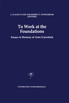 Claude Evans, J Claude Evans, J. Claude Evans, S Stufflebeam, S Stufflebeam, Robert S. Stufflebeam - To Work at the Foundations