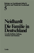 Friedhelm Neidhardt - Die Familie in Deutschland