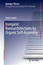 Stefan Guldin - Inorganic Nanoarchitectures by Organic Self-Assembly