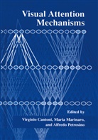 Virginio Cantoni, Mari Marinaro, Maria Marinaro, Alfredo Petrosino - Visual Attention Mechanisms
