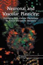 Kennet Maiese, Kenneth Maiese - Neuronal and Vascular Plasticity