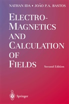 Joao P A Bastos, Joao P. A. Bastos, Joao P.A. Bastos, Natha Ida, Nathan Ida - Electromagnetics and Calculation of Fields