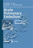 A. Geibel, H. Just, Hanjoer Just, Hanjoerg Just, Hanjörg Just, W. Kasper... - Acute Pulmonary Embolism
