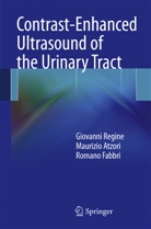 Maurizi Atzori, Maurizio Atzori, Romano Fabbri, Giovanni Regine, Giovann Regine, Giovanni Regine - Contrast-Enhanced Ultrasound of the Urinary Tract