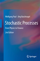 Jörg Baschnagel, Wolfgan Paul, Wolfgang Paul - Stochastic Processes