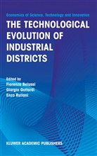 Fiorenza Belussi, Giorgi Gottardi, Giorgio Gottardi, Enzo Rullani - The Technological Evolution of Industrial Districts