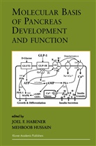Joe F Habener, Joel F Habener, Joel F. Habener, Hussain, Hussain, Mehboob Hussain - Molecular Basis of Pancreas Development and Function