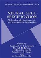 J. Ronald Doucette, Patric H Krone, Patrick H Krone, Bernhard H. J. Juurlink, Bernhard H.J. Juurlink, Patrick H. Krone... - Neural Cell Specification