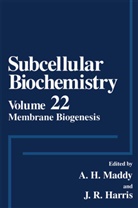 H Maddy, A H Maddy, J. Robin Harris, Robin Harris, A. H. Maddy, A.H. Maddy... - Membrane Biogenesis