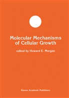 Howar E Morgan, Howard E Morgan, Howard E. Morgan - Molecular Mechanisms of Cellular Growth