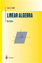 Larry Smith - Linear Algebra