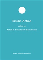 I Posner, I Posner, Asho K Srivastava, Ashok K Srivastava, Ashok K. Srivastava, Barry I. Posner... - Insulin Action