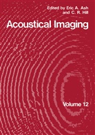 Eri Ash, Eric Ash - Acoustical Imaging