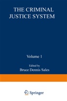Bruc Sales, Bruce Sales - The Criminal Justice System
