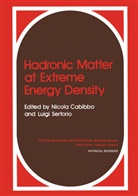 Cabibbo, N Cabibbo, N. Cabibbo - Hadronic Matter at Extreme Energy Density