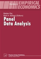 Badi Baltagi, Badi H. Baltagi, H Baltagi, H Baltagi, Balde Raj, Baldev Raj - Panel Data Analysis