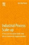 Jan Harmsen - Industrial Process Scale-Up