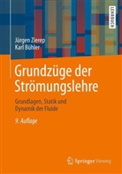 Bühler, Karl Bühler, Ziere, Jürge Zierep, Jürgen Zierep - Grundzüge der Strömungslehre
