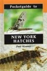 Paul Weamer - Pocketguide to New York Hatches