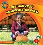 Rebecca Felix - We Harvest Pumpkins in Fall