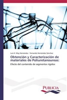 Fernando Hernández Sánchez, Luis May Hernández, Luis H May Hernández, Luis H. May Hernández - Obtención y Caracterización de materiales de Poliuretanoureas: