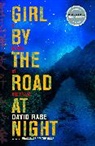 David Rabe - Girl by the Road at Night