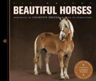 Liz Wright - Beautiful Horses