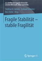 Stephan A Jansen, Stephan A. Jansen, Eckhar Schröter, Eckhard Schröter, Nico Stehr - Fragile Stabilität - stabile Fragilität