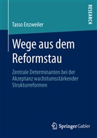 Tasso Enzweiler - Wege aus dem Reformstau