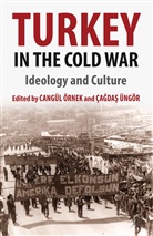 C. Örnek Konu, Cangul Ungor Ornek, Kenneth A Loparo, C Örnek Konu, C. OErnek Konu, C. Ornek Konu... - Turkey in the Cold War