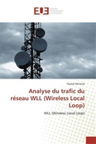 Fayssal Menezla, Menezla-F - Analyse du trafic du reseau wll