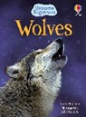 James Maclaine, John Francis - Wolves