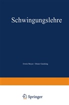 Dieter Guicking, Erwi Meyer, Erwin Meyer - Schwingungslehre
