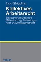 Ingo Striepling, Ingo (Prof. Dr.) Striepling - Kollektives Arbeitsrecht